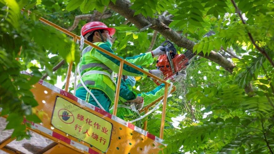 9平方米园林景观设计费用多少