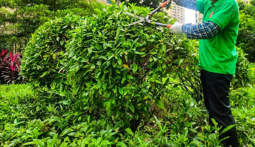 大型园林景观设计