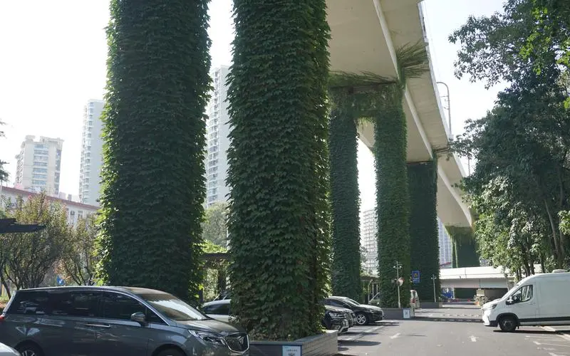 绿化工程种植土壤配比标准
