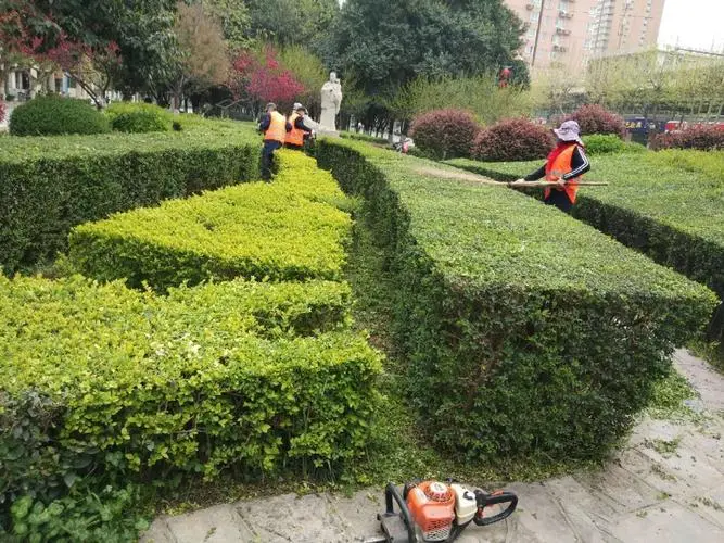半山悦景园林景观设计分析
